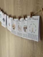 Adventski kalendar (PDF) - Slika 4