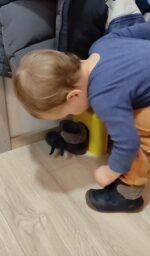 WEBINAR: Kako pripremiti dom koji potiče dijete na igru i samostalnost